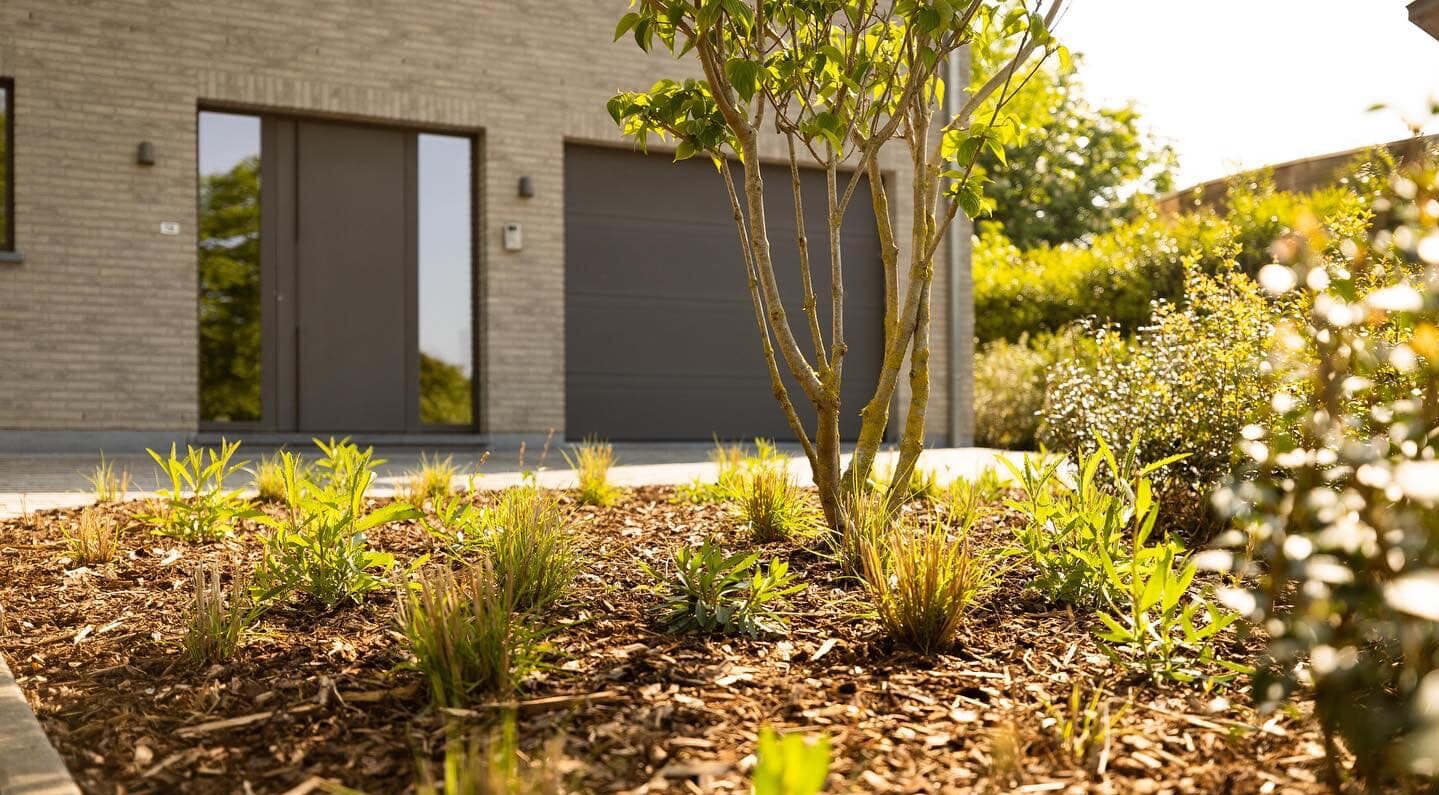 350537735_248735194465673_2018066898942066285_n